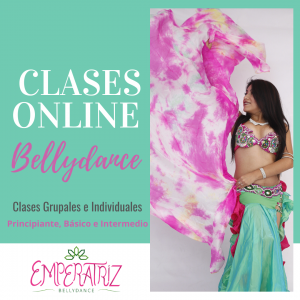 Paquete 4 Clases Online Zoom / Individual